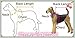 High Quality Spring Autumn Big Dog Clothes Coat Jacket Clothing for Dogs Large Size Golden Retriever Labrador 3XL-9XL Adidog Hoodie (Red, 8XL)
