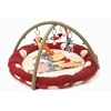 Disney Baby - Winnie the Pooh 'Autumnal' Playmat & Gym