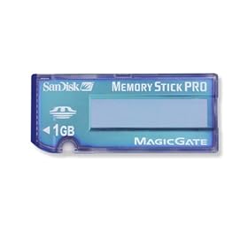 SanDisk SDMSV-1024-A10 1.0 GB Memory Stick Pro (Retail Package)