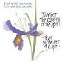 Live with Intention, 2004 Calendar