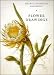 Flower Drawings (Fitzwilliam Museum Handbooks)
