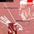 Mahler: Symphony No. 4; 5 Lieder
