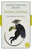 Brehms Tierleben - Die sch�nsten Geschichten
