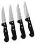 Chicago Cutlery Centurion 4-Piece Steakhouse Knife Set