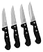 Chicago Cutlery Centurion 4-Piece Steakhouse Knife Set