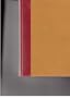 Condominium: A Novel
