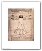 Vitruvian Man, 1492 by Leonardo da Vinci 11"x14" Art Print Poster