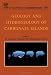 Post image for Geology and hydrogeology of carbonate islands, Volume 54 (Developments in Sedimentology)
