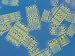 Magnified View of Diatoms That Reproduce by Simple Cell Division Photographic Poster Print, 16x12