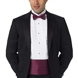 Isaac Mizrahi for Target Tie and Cummerbund Set - Pink Aura