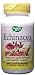 Echinacea purpurea supports the immune system*, while Astragalus and Reishi are two of the most important traditional Chinese medicinal herb tonics.