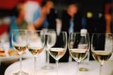 Washington Wine Tour