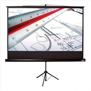 Get Perfect Office Projector Screen with High Quality