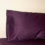HOMESPELL 500 Thread Count 100% Egyptian Cotton Solid Sateen Single Ply Yarn Bed Sheet Set (Purple) Queen by Homespell.