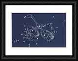 LIBRA/NORTON - Framed 16x12 Print (40x30cm) by Mary Evans