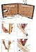 Sporting Goods : Sunny Health & Fitness Foldable Massage Table