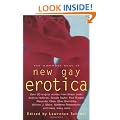 The Mammoth Book of New Gay Erotica (Mammoth Books)