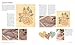 The Complete Stenciling Handbook