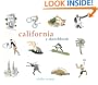 California: A Sketchbook