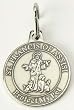 Club Pack of 48 Pet Keepsake St. Francis Religious "Protect My Pet" Collar Medallions