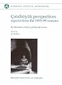 Catalhoyuk perspectives: Themes from the 1995-99 Seasons (Catalhoyuk Research Project 6)