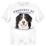 Bernese Mountain Dog Property Of Adult T Shirt