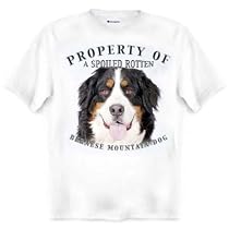 Bernese Mountain Dog Property Of Adult T Shirt