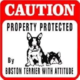 CAUTION: BOSTON TERRIER Protection dog sign