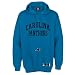 Carolina Panthers Classic Heavyweight Hoodie, X-Large