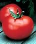 Jet Set Tomato 4 Plants - Low Acidity
