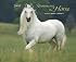 Romancing the Horse 2009 Calendar