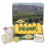 The Ultimate Citrus Bar