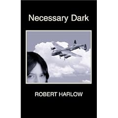 Necessary Dark