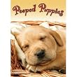 Pooped Puppies 2011 Engagement Calendar/Diary