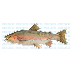 RAINBOW TROUT -Fish Decal- sticker truck fishing