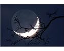 Photographic Print of Crescent Moon with earthshine from Science Photo Library