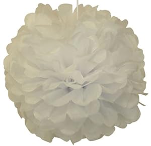 Tissue Pom Pom Paper Flower Ball 8inch White -Just Artifacts Brand