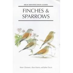Finches and Sparrows: An Identification Guide (Helm Identification Guides)