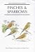 Finches and Sparrows (Helm Identification Guides) by Peter Clement