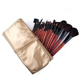 ALICE 18 Piece Makeup Brush Set and Case, For Eye Shadow, Blush, Concealer, Etc