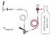 Economy Keg Conversion Kit for Refrigerator (Convert a Standard Refrigerator to a Kegerator)