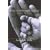 Theories of Developmental Psychology