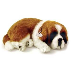 Perfect Petzzz St. Bernard by 