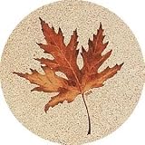 THIRSTYSTONE COASTERS GARDEN ACCENTS - MAPLE LEAF