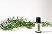 Fir Needle Essential Oil by Simply Earth - 15 ml, 100% Pure Therapeutic Grade