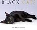 Black Cats 2009 Wall Calendar