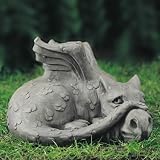 Eigenschaften MIOCASA  / Drache Old Smug - klein (Devonshire)