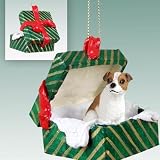 Jack Russell Terrier Green Gift Box Dog Ornament - Brown  White