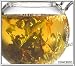 Teaposy CONCERTO Concert Organic Oolong Tea-12 Nylon Sachets Per Box