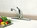 Globe Union F8124607WH Do it Best Single Handle Kitchen Faucet